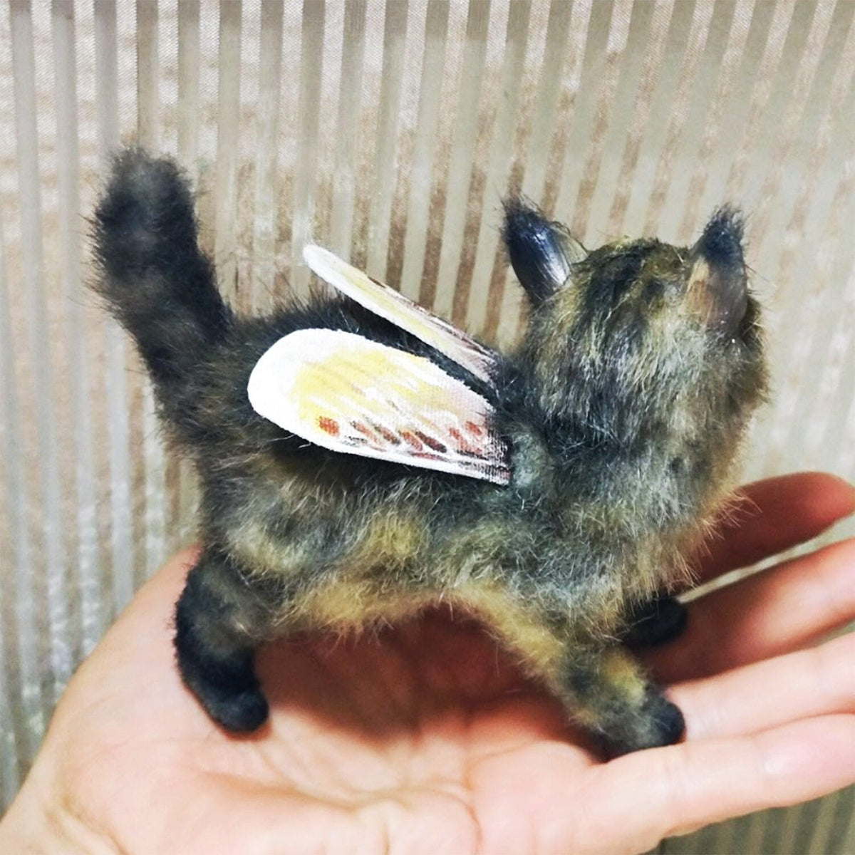 CUSTOM MINIATURE CAT Plushie, Cat Plush Doll, Cat with Wings from the Pictures of your Pet, Memorial Gift, Cat Lovers Gift