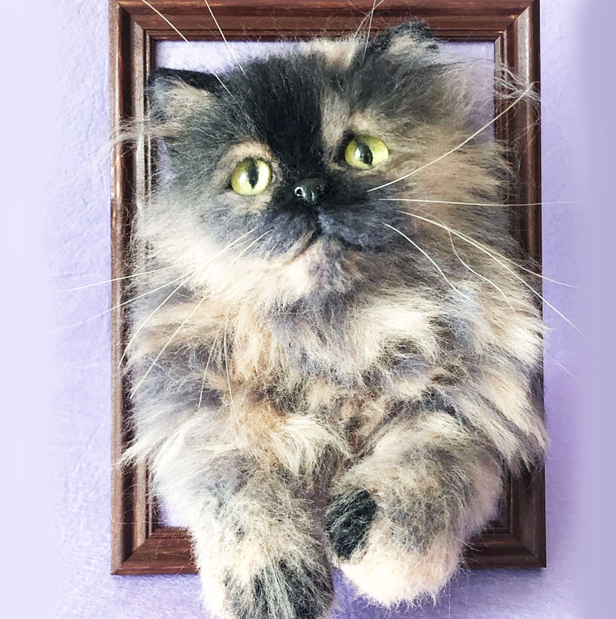 Vertical Cat Portrait - Face and Paws - Persian Cat