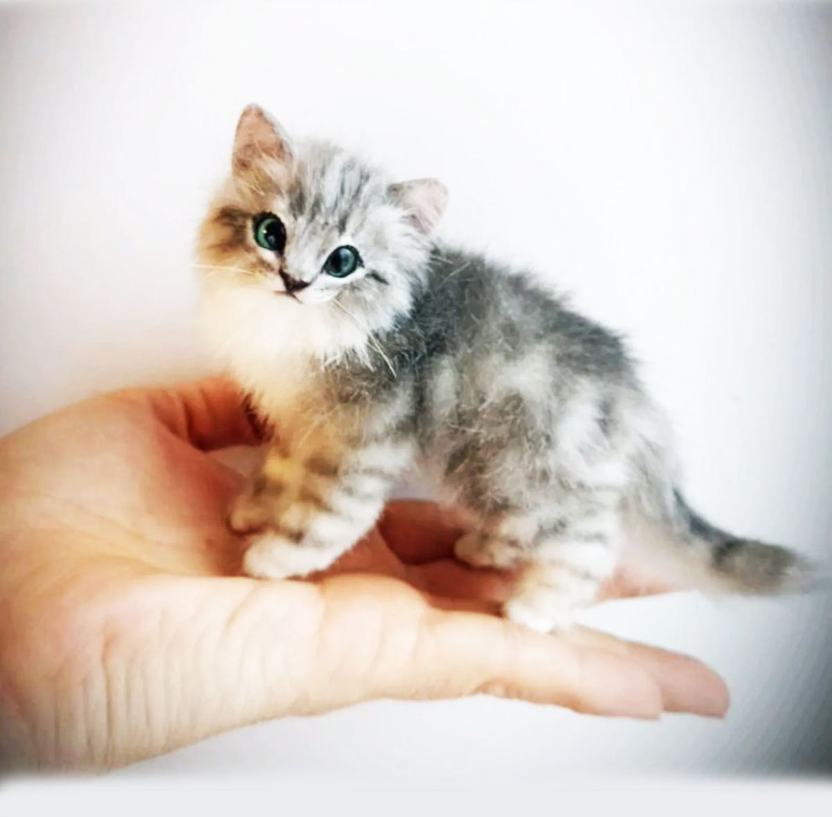 PLUSH Cat from Photos - Miniature Kitten