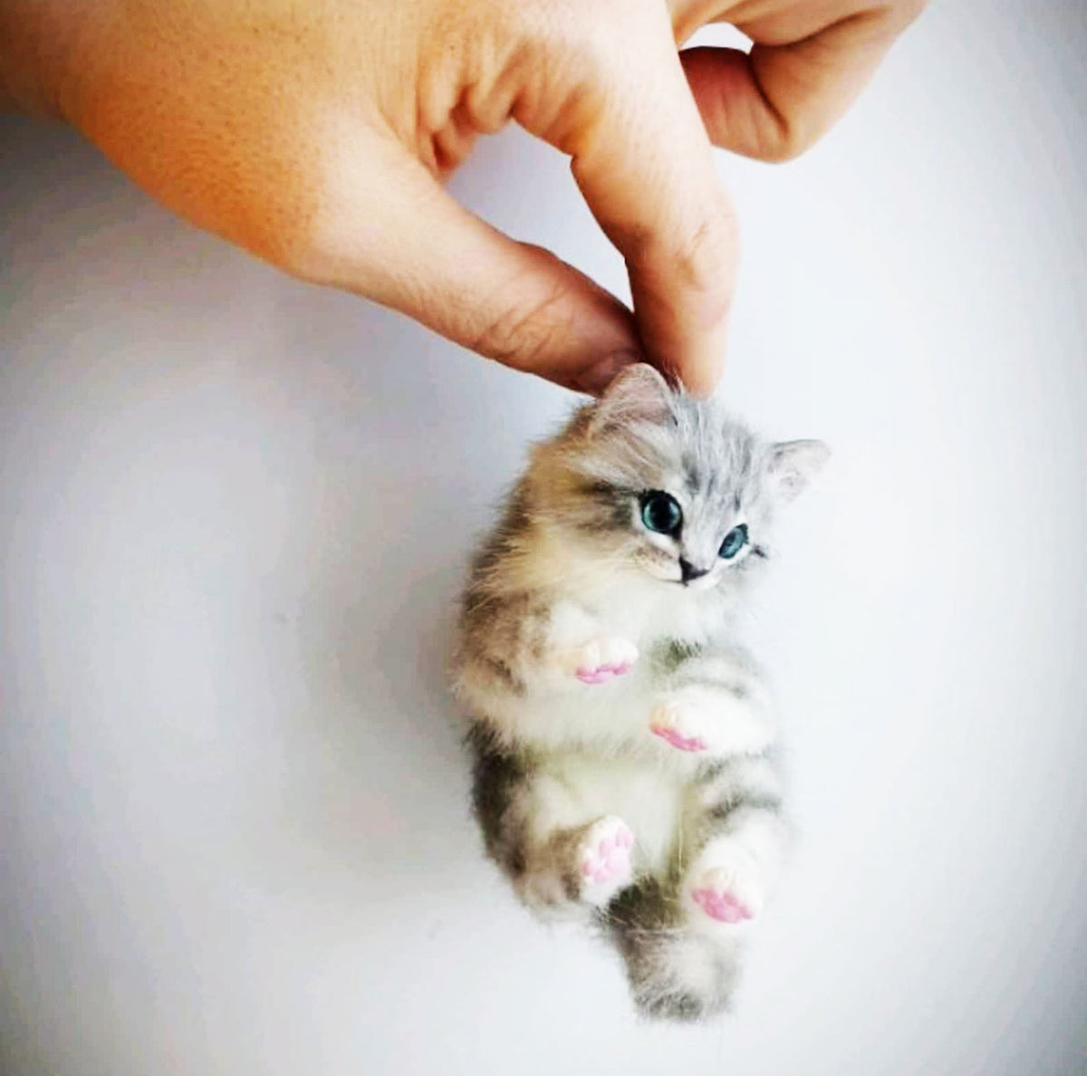 PLUSH Cat from Photos - Miniature Kitten