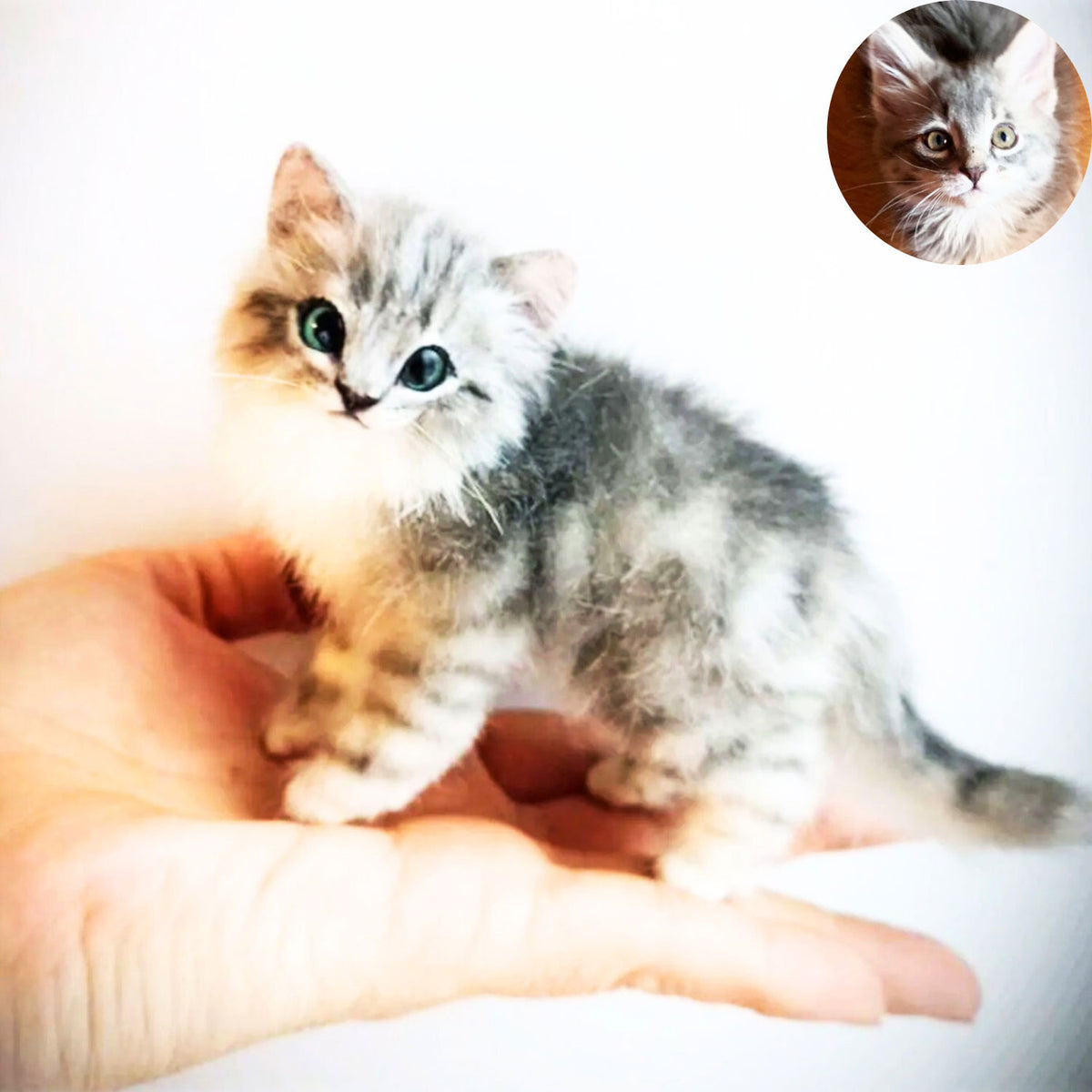 PLUSH Cat from Photos - Miniature Kitten