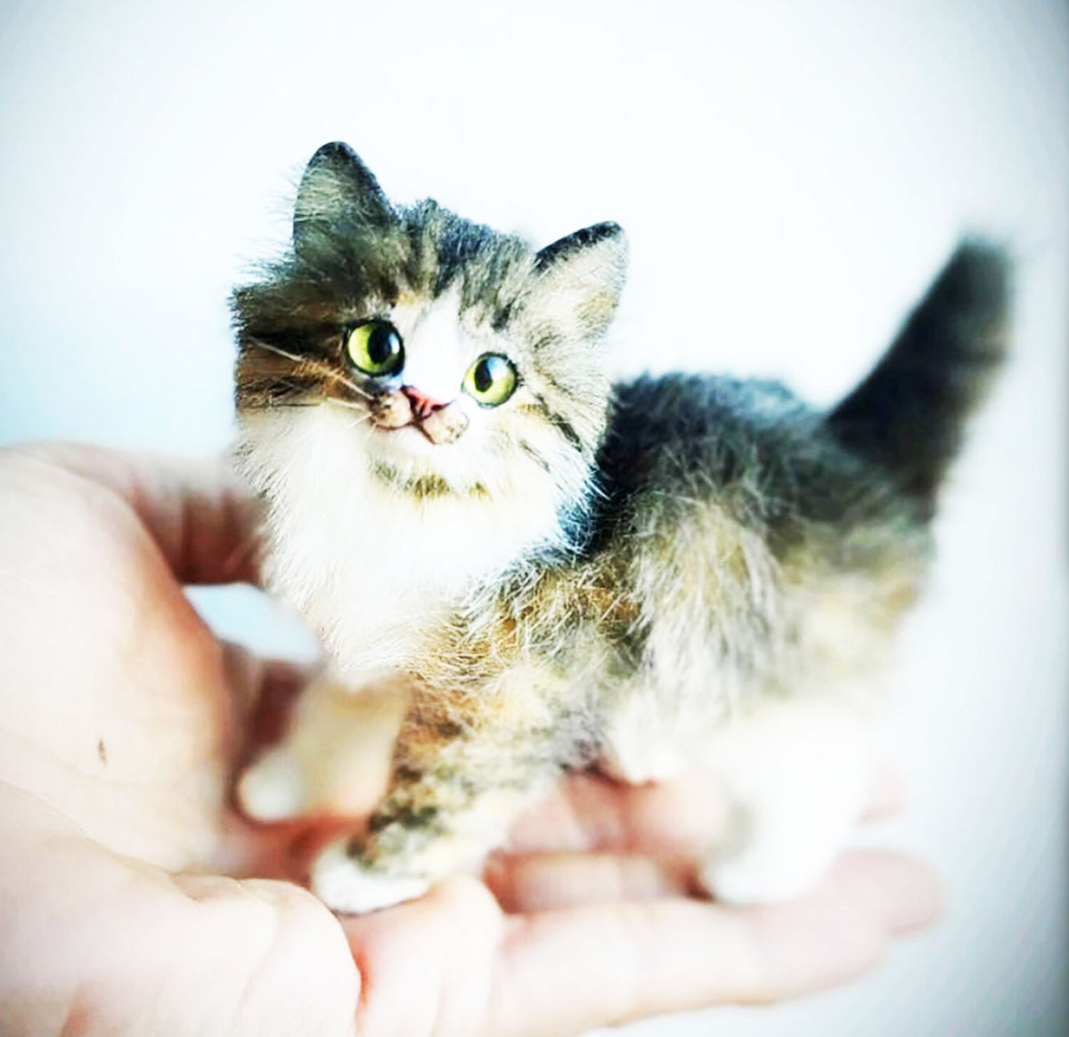 PLUSH Cat from Photos - Miniature Kitten