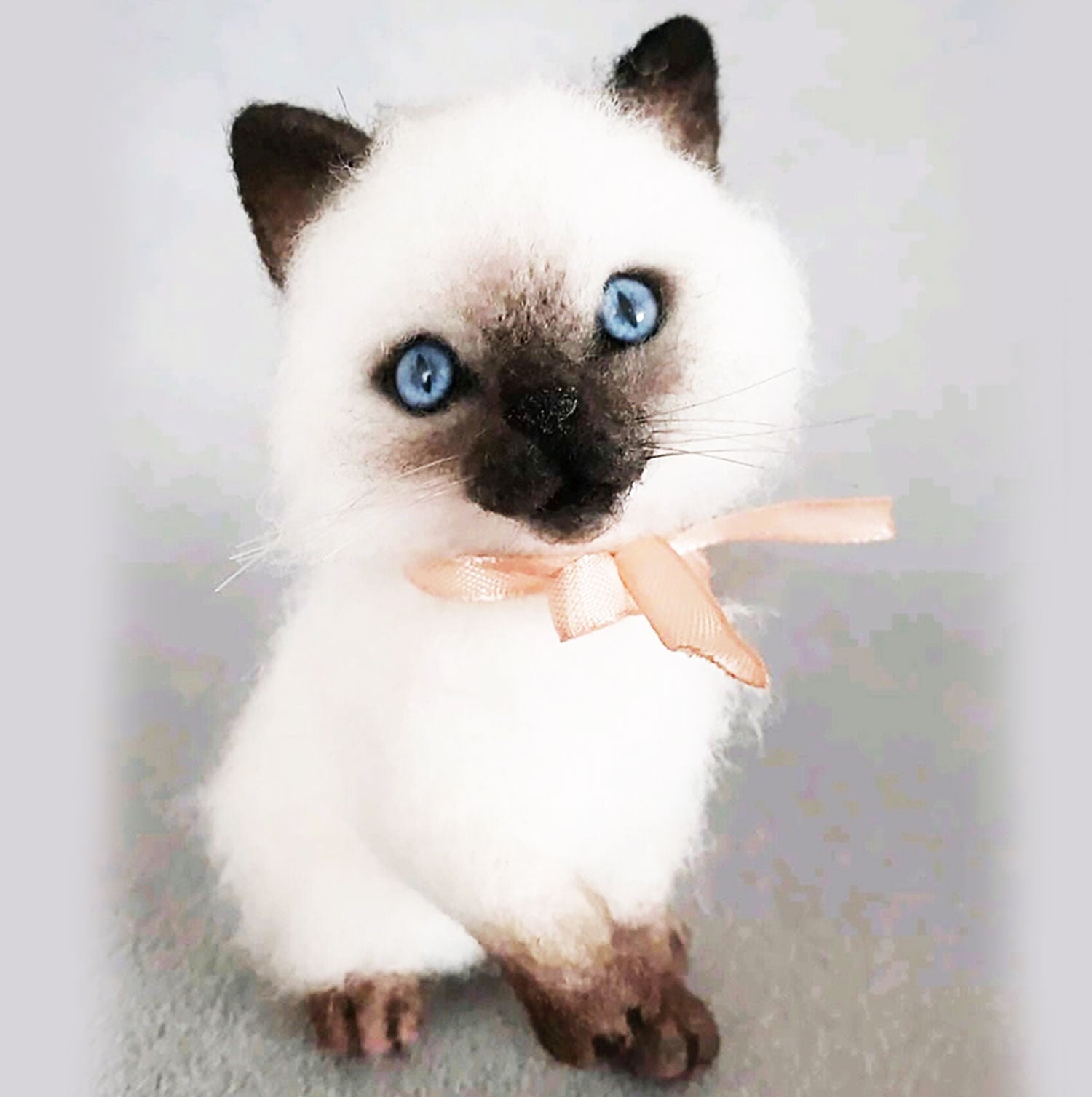 Teacup store siamese cat