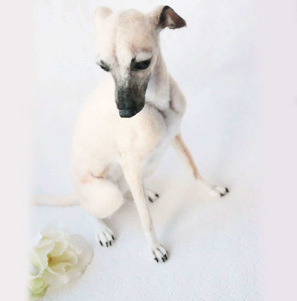 3D Felt Greyhound Dog Doll from Photo