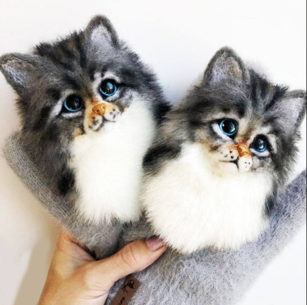 3D Custom Cat Mittens - Pet Universe
