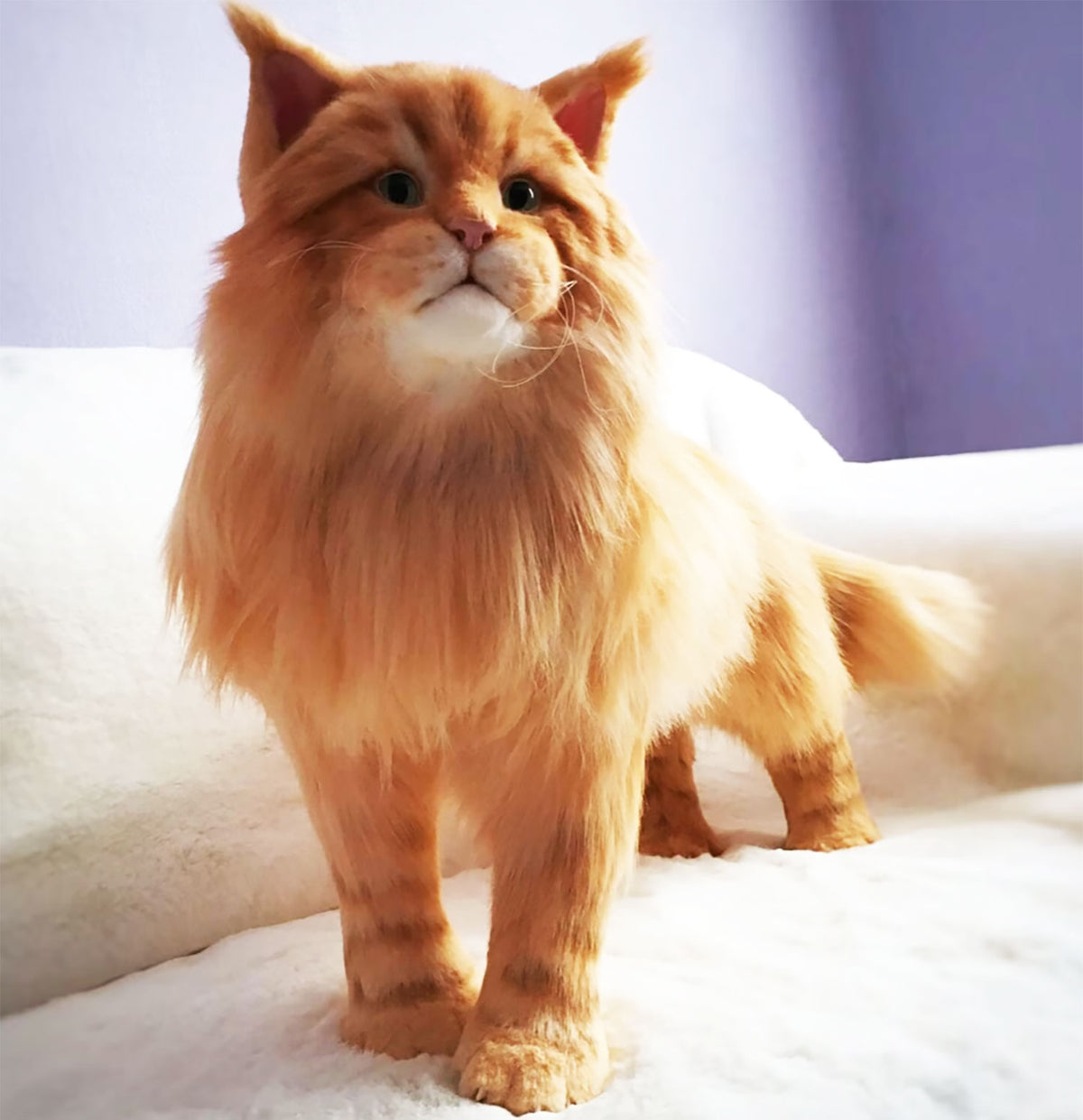 PLUSH Cat, Cat Stuffed Animal from Photos - Big Maine Coon Cat