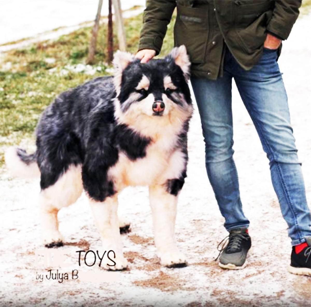 PLUSH Dog, Dog Stuffed Animal from Photos - Big Life Like Alaskan Malamute Dog